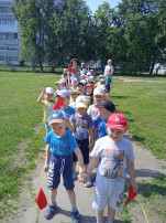 Целевая прогулка Целевая прогулка.